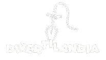 Logo Divertilandia